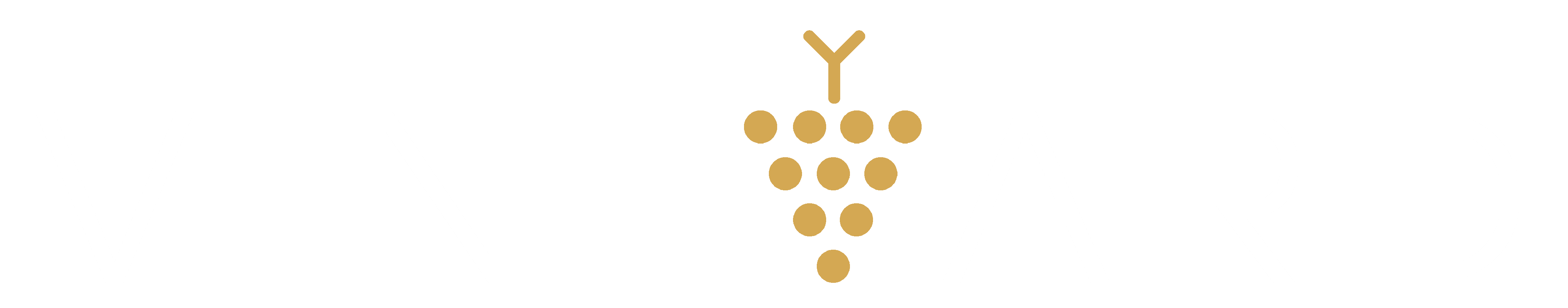 Vineyard Community Church